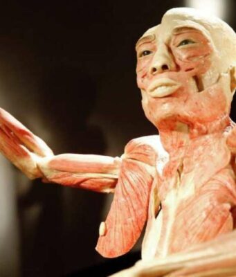 «Bodies: Cuerpos humanos reales» se extiende al 15 de enero 2023