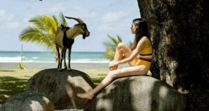 Adopresci anuncia nominados al IV Premio de Crítica Cinematográfica