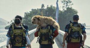 Arthur, película conmovedora grabada en Samaná