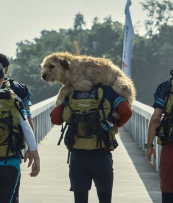 Arthur, película conmovedora grabada en Samaná