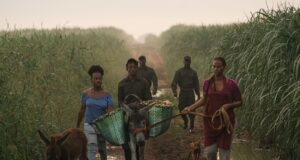 «Sugar Island» tendrá su premier en el Festival de Cine de Venecia