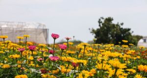 Llega la primera temporada de Tierra Tropical