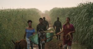 «Sugar Island» triunfa en el Joburg Film Festival 2025