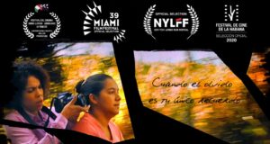 Dossier De Ausencias