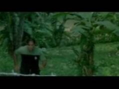 El despertar del terror dominicano