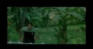 El despertar del terror dominicano