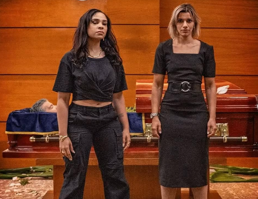 Cartel alternativo de Medias Hermanas.