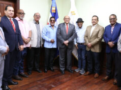Mescyt apoyará la formación y titulación de artistas dominicanos